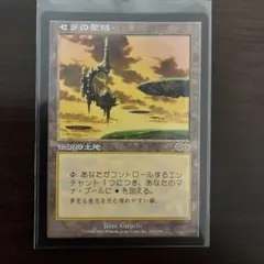 2026年最新】セラの聖域の人気アイテム - メルカリ