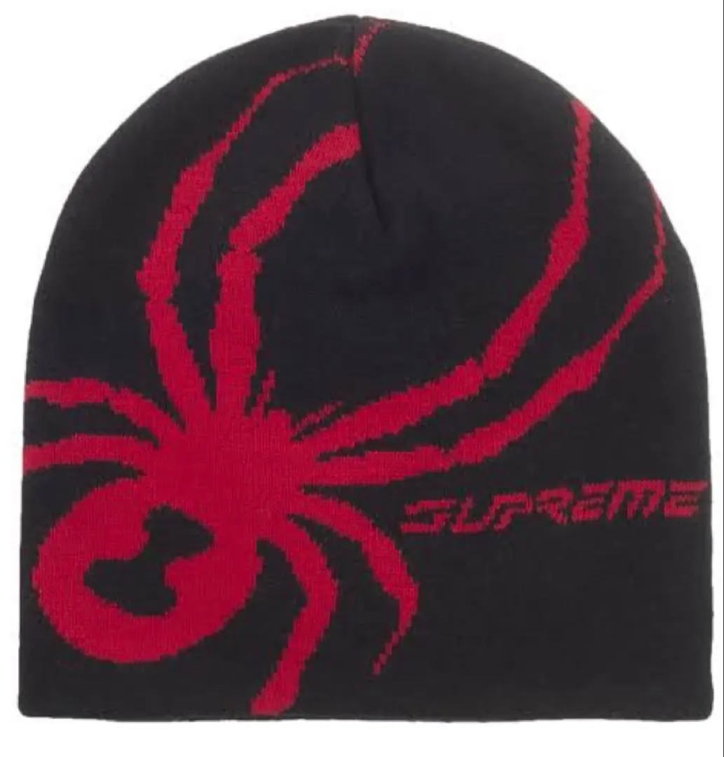 2026年最新】supreme spyder beanieの人気アイテム - メルカリ