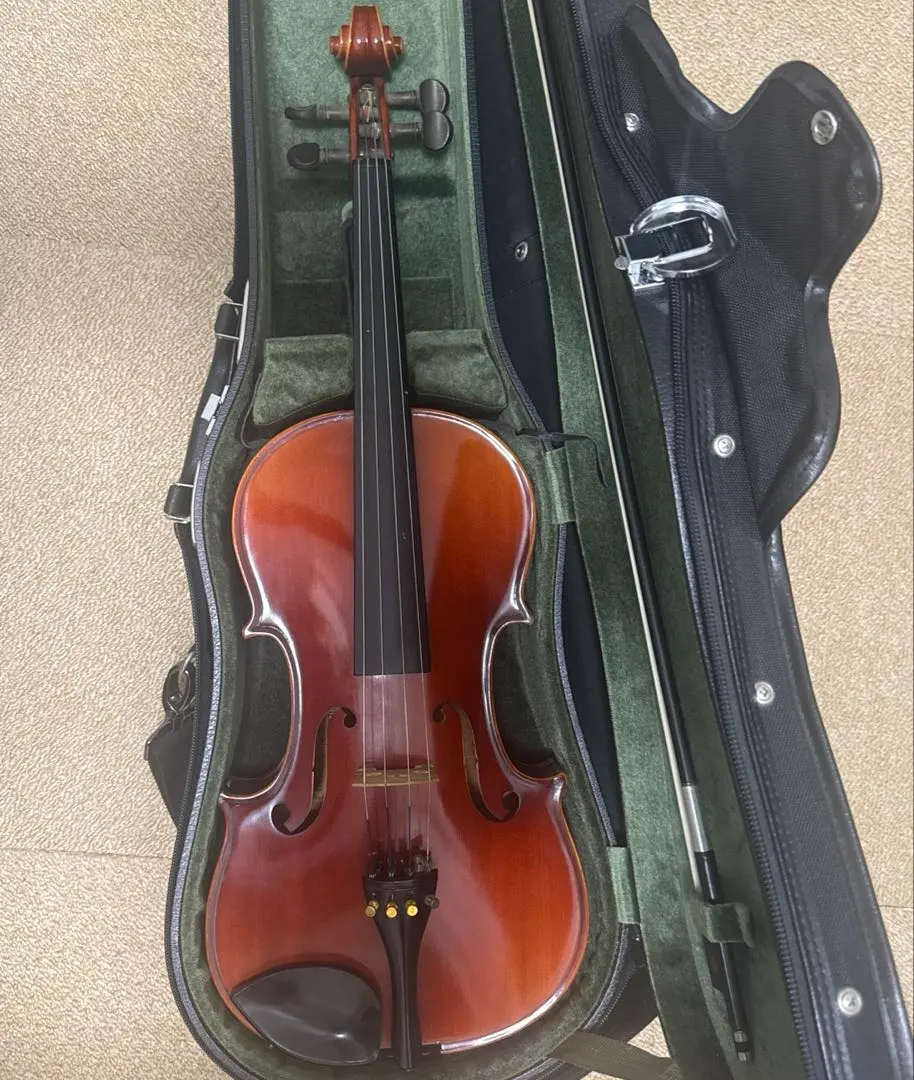 2026年最新】ビオラ スズキの人気アイテム - メルカリ