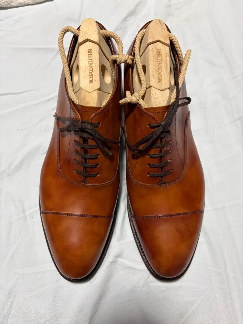 2026年最新】シェットランドフォックス ケンジントンの人気アイテム