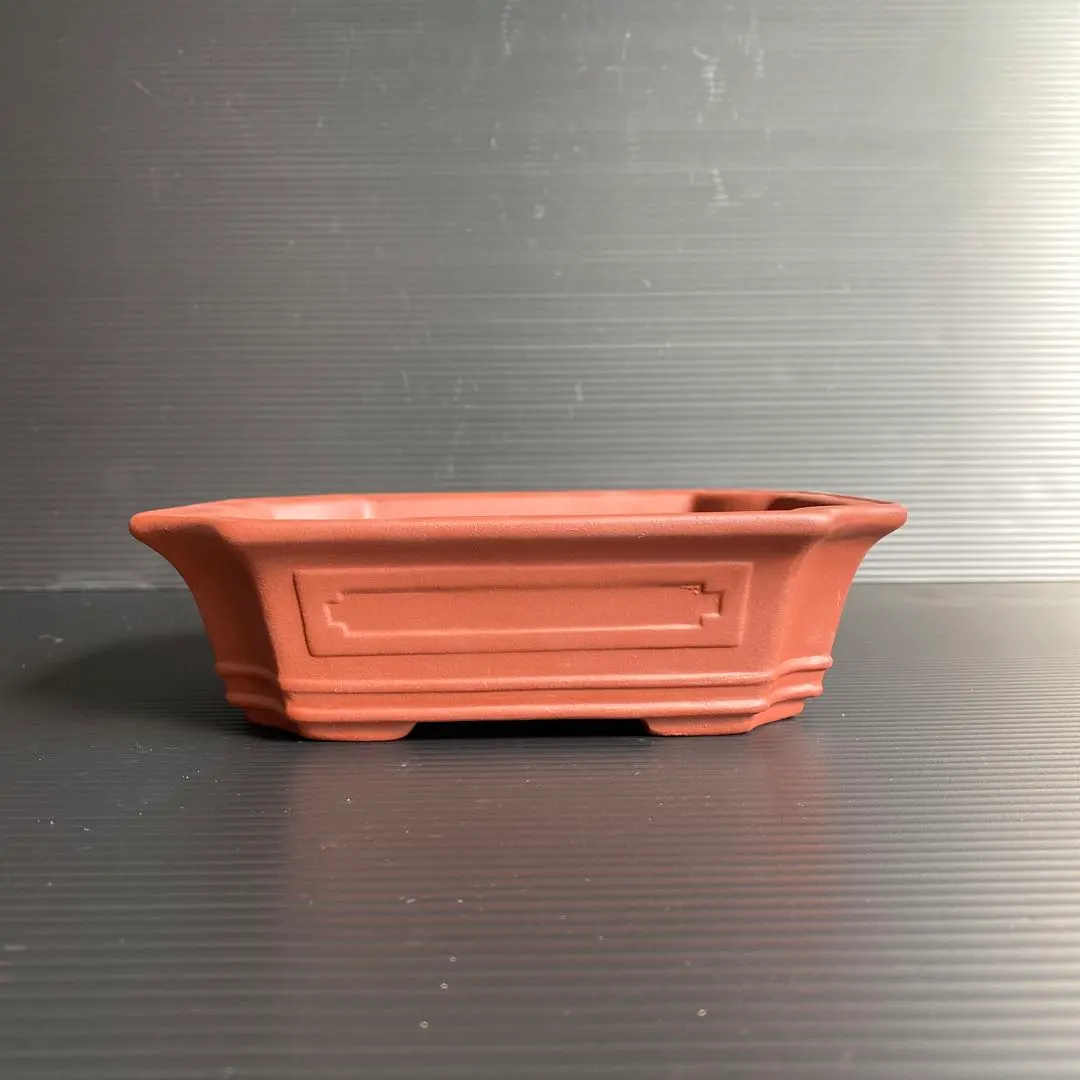 2026年最新】中国 植木鉢 朱泥の人気アイテム - メルカリ