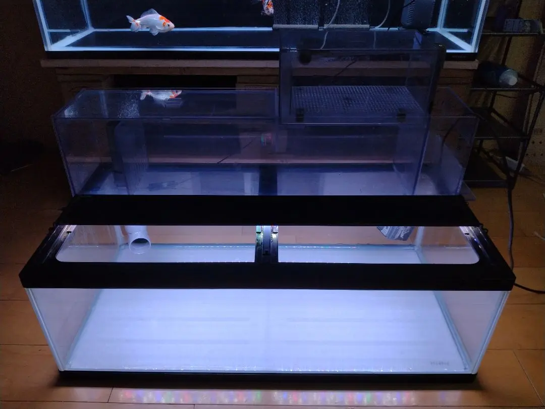 2026年最新】ぷぅ工房の人気アイテム - メルカリ