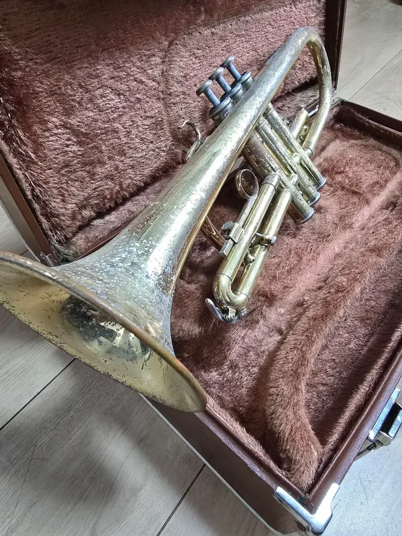 2026年最新】yamaha ycr2311の人気アイテム - メルカリ