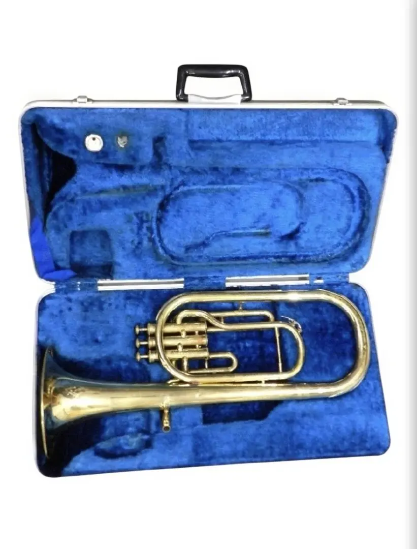 2026年最新】アルトホルン本体の人気アイテム - メルカリ