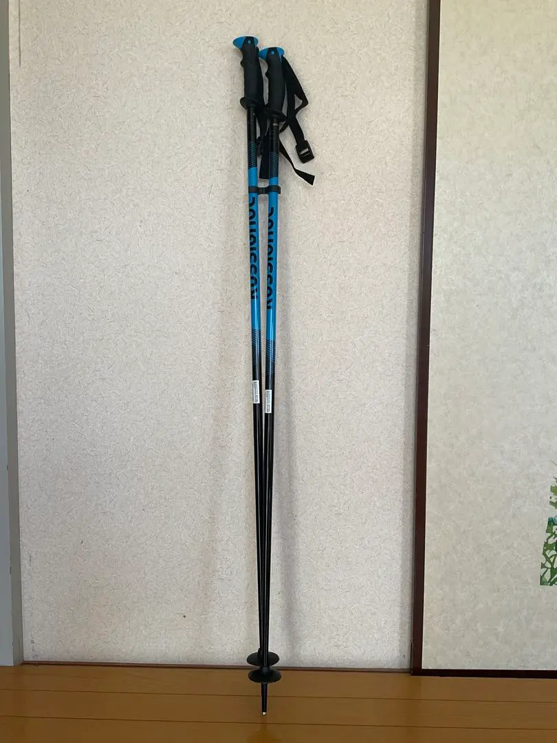 2026年最新】ROSSIGNOL 割引オプション：通常商品 ストックの人気