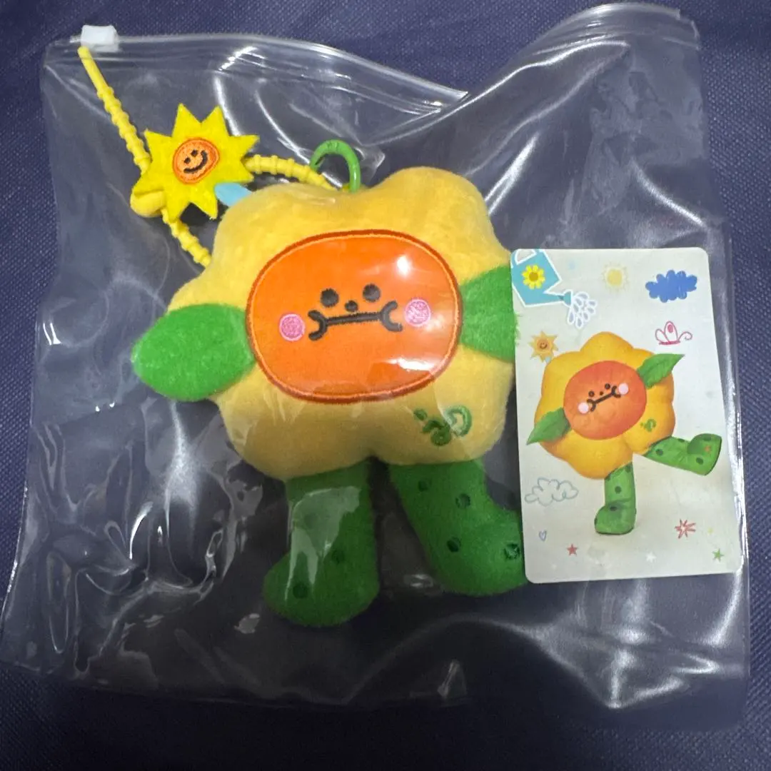 2026年最新】Joongdunk ぬいぐるみの人気アイテム - メルカリ