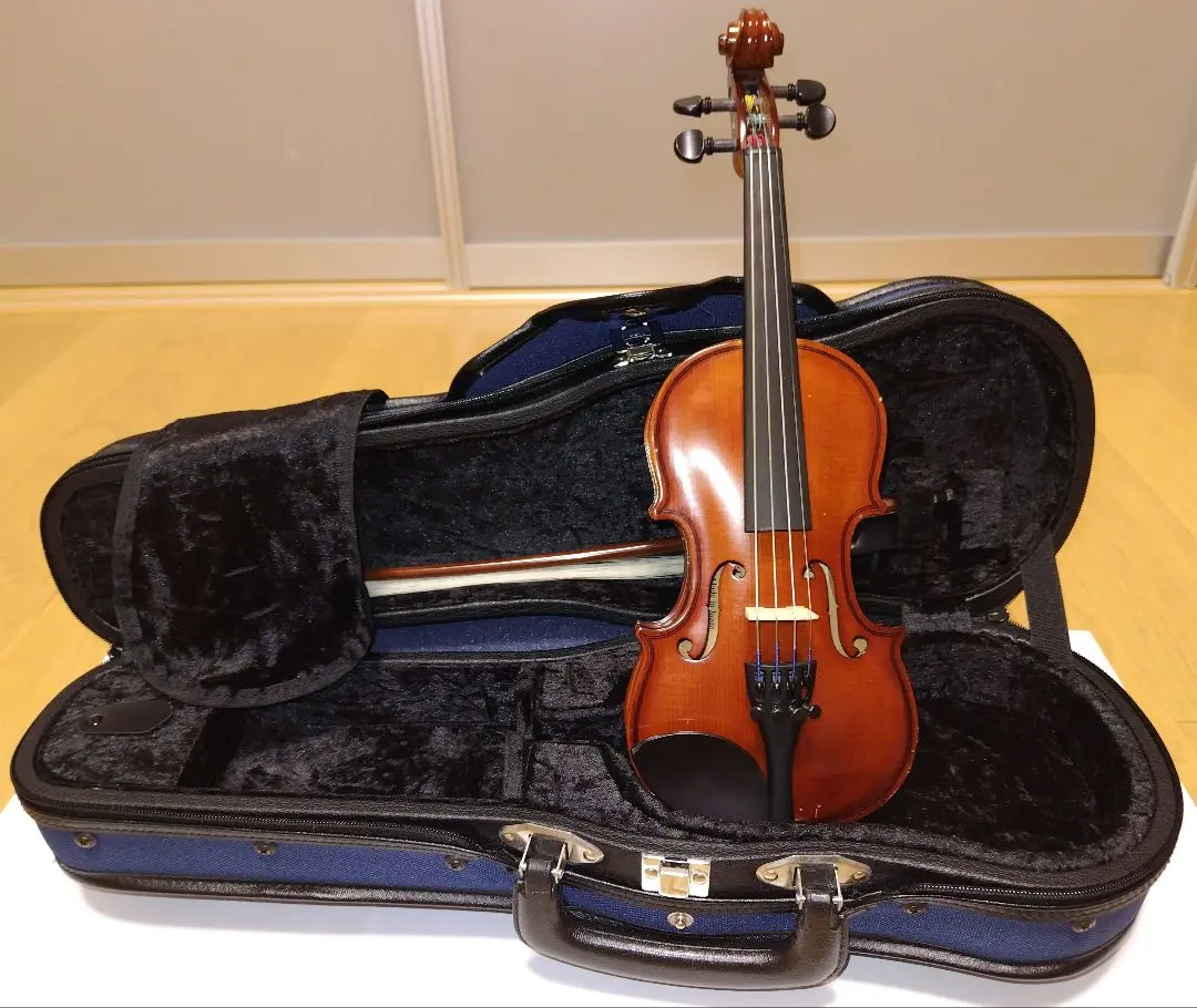 2026年最新】恵那バイオリンの人気アイテム - メルカリ