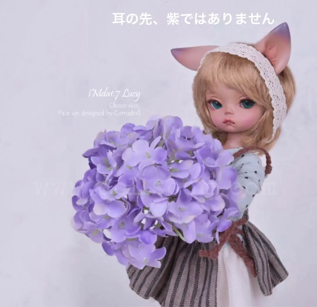 2026年最新】Imda 1.7の人気アイテム - メルカリ