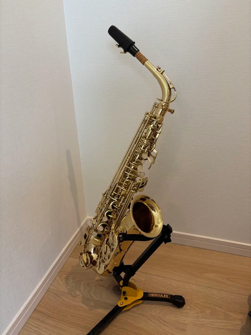 2026年最新】mavisサックスの人気アイテム - メルカリ