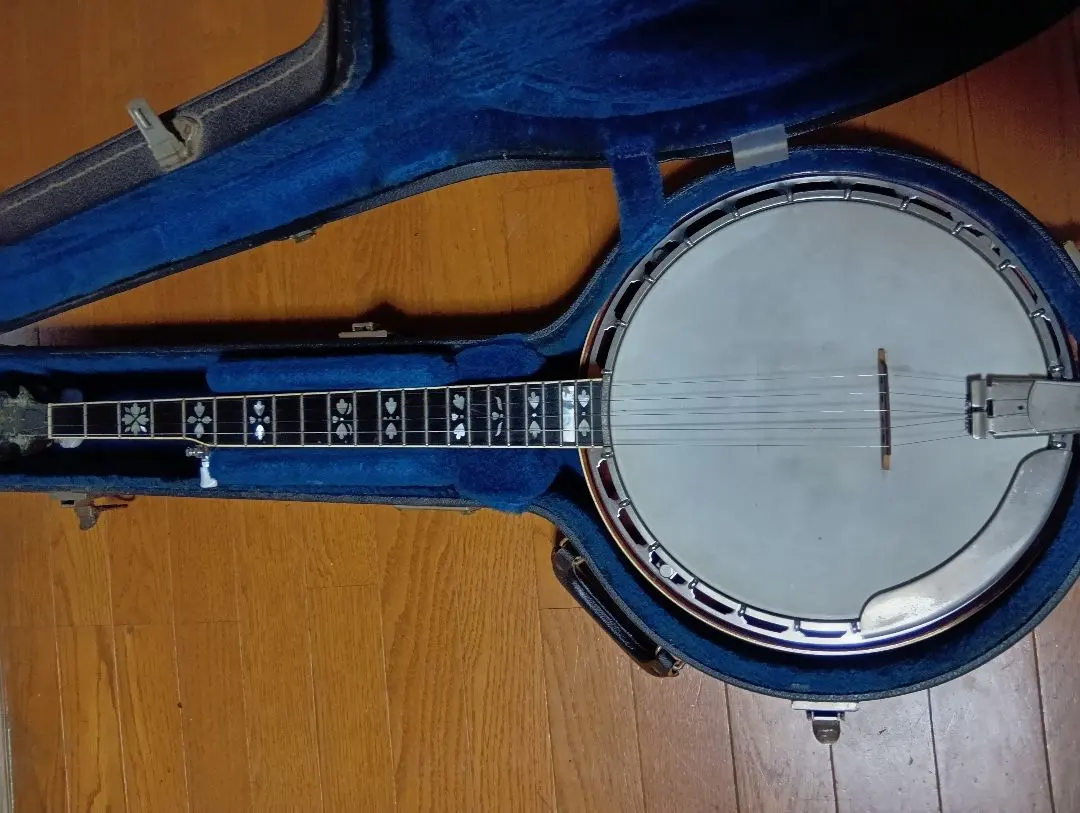 2026年最新】Tokai バンジョーの人気アイテム - メルカリ