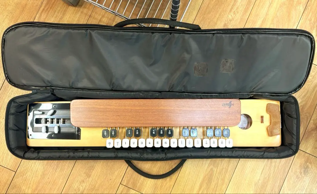 2026年最新】大正琴 ライリッシュの人気アイテム - メルカリ