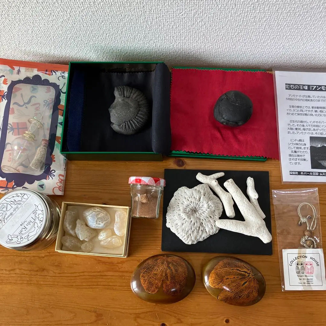 2026年最新】ネパール アンモナイトの人気アイテム - メルカリ