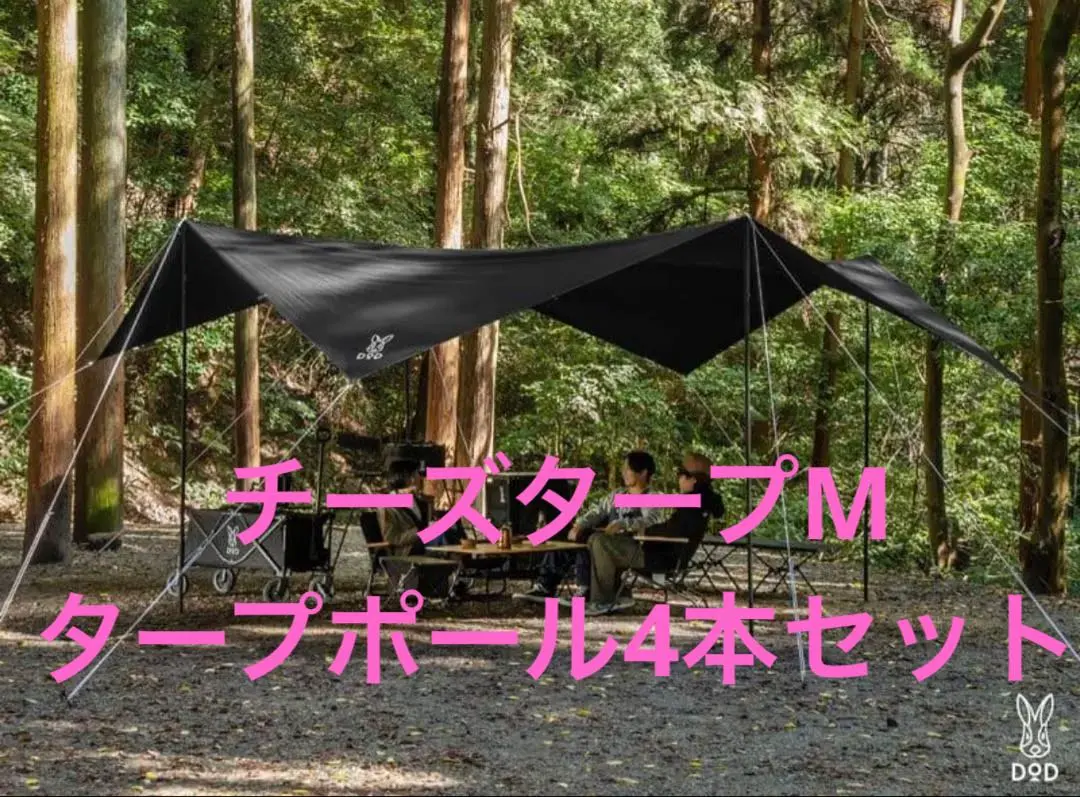 2026年最新】チーズタープmの人気アイテム - メルカリ