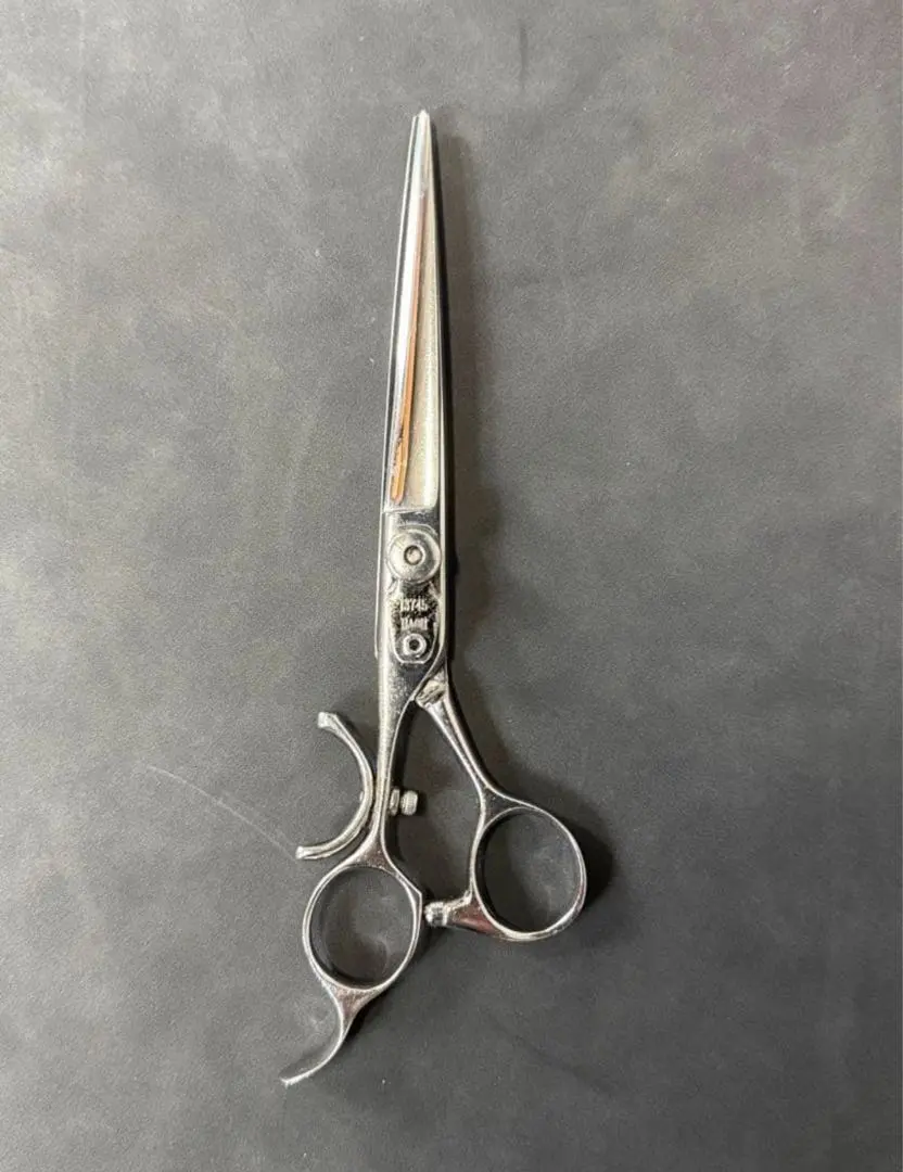 2026年最新】覇王 シザーの人気アイテム - メルカリ