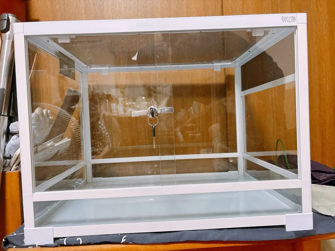 2026年最新】パンテオン6045の人気アイテム - メルカリ