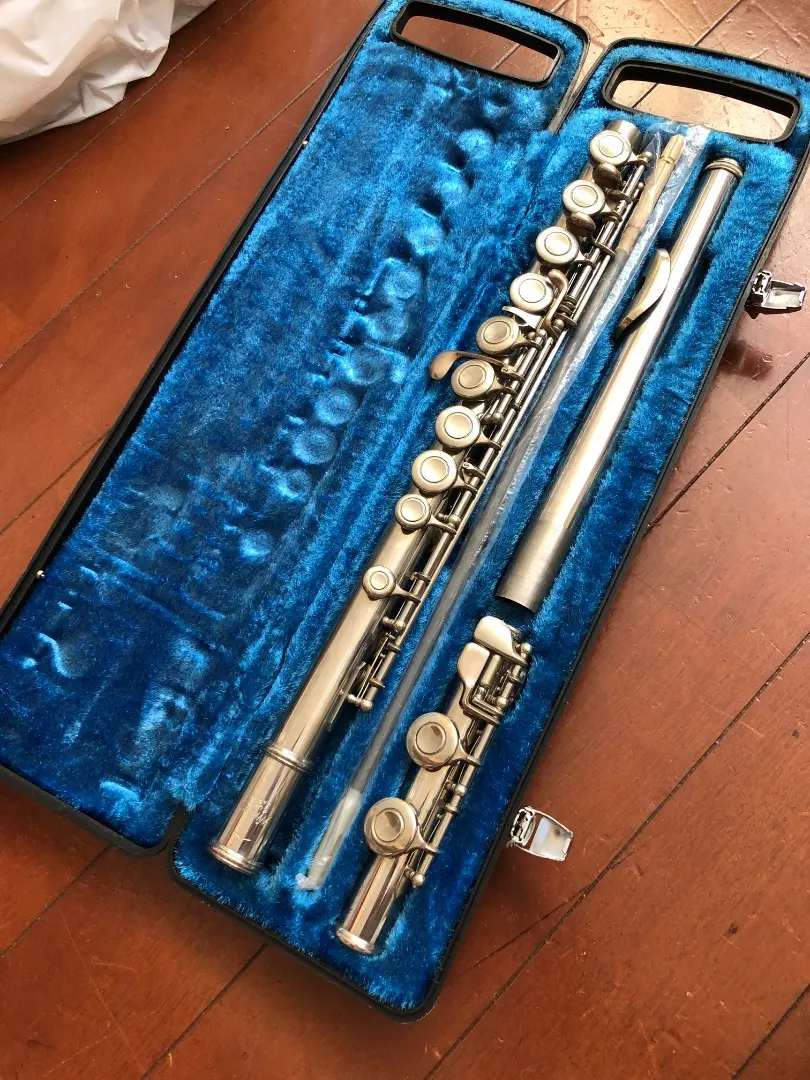 2026年最新】フルート NIKKANの人気アイテム - メルカリ