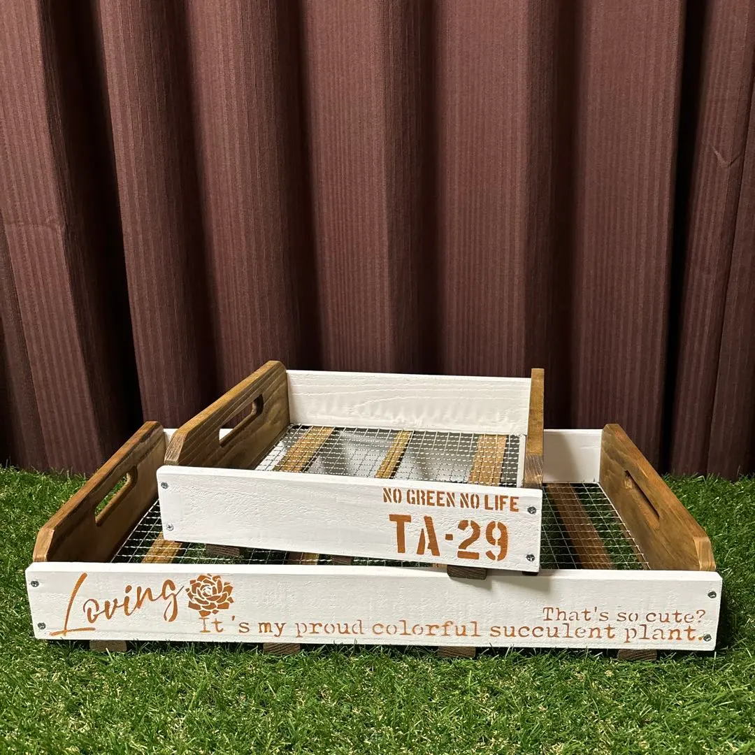 2026年最新】多肉植物トレイ棚の人気アイテム - メルカリ