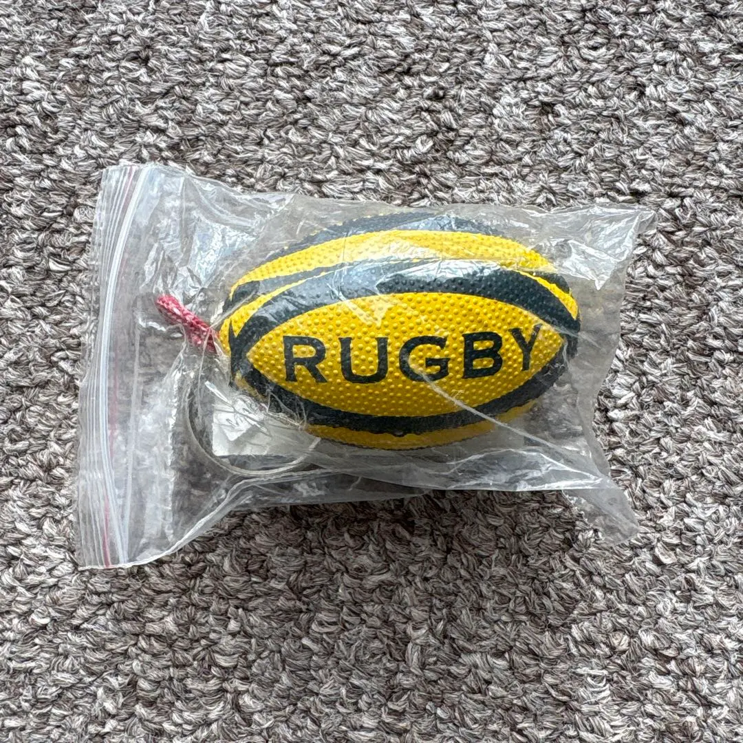 2026年最新】ラグビーボール ラルフローレンの人気アイテム - メルカリ