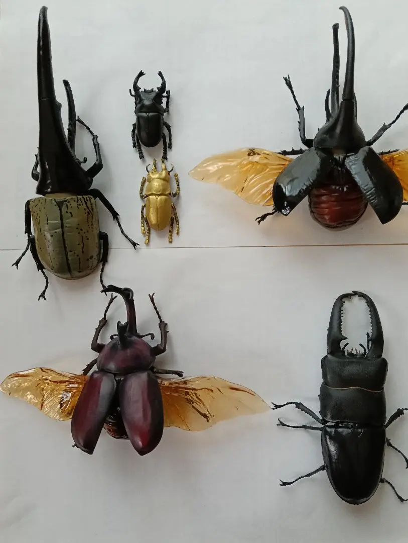 2026年最新】標本・ ネプチューンオオカブトの人気アイテム - メルカリ