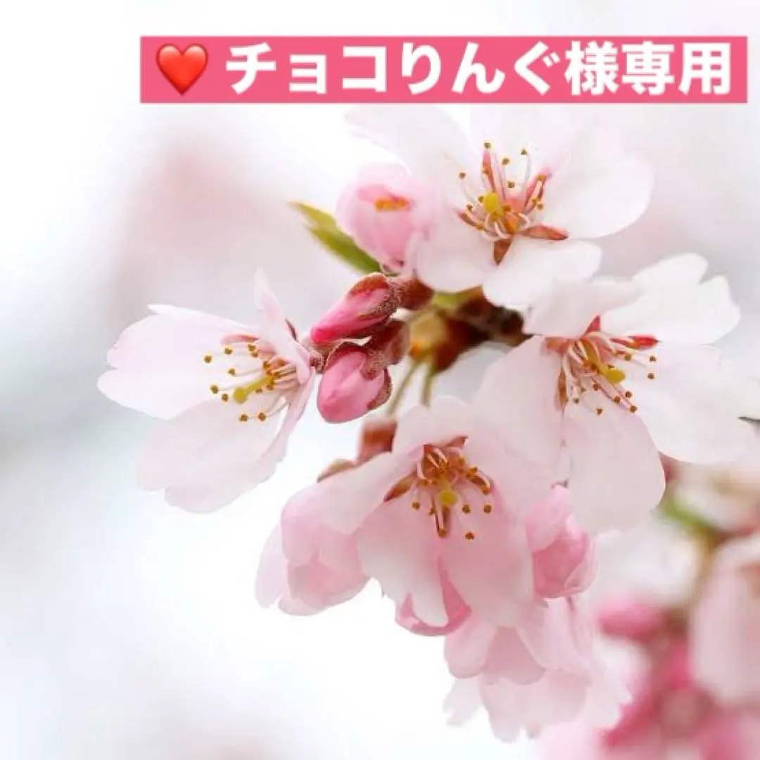 2026年最新】アンファティ ファンデーションの人気アイテム - メルカリ