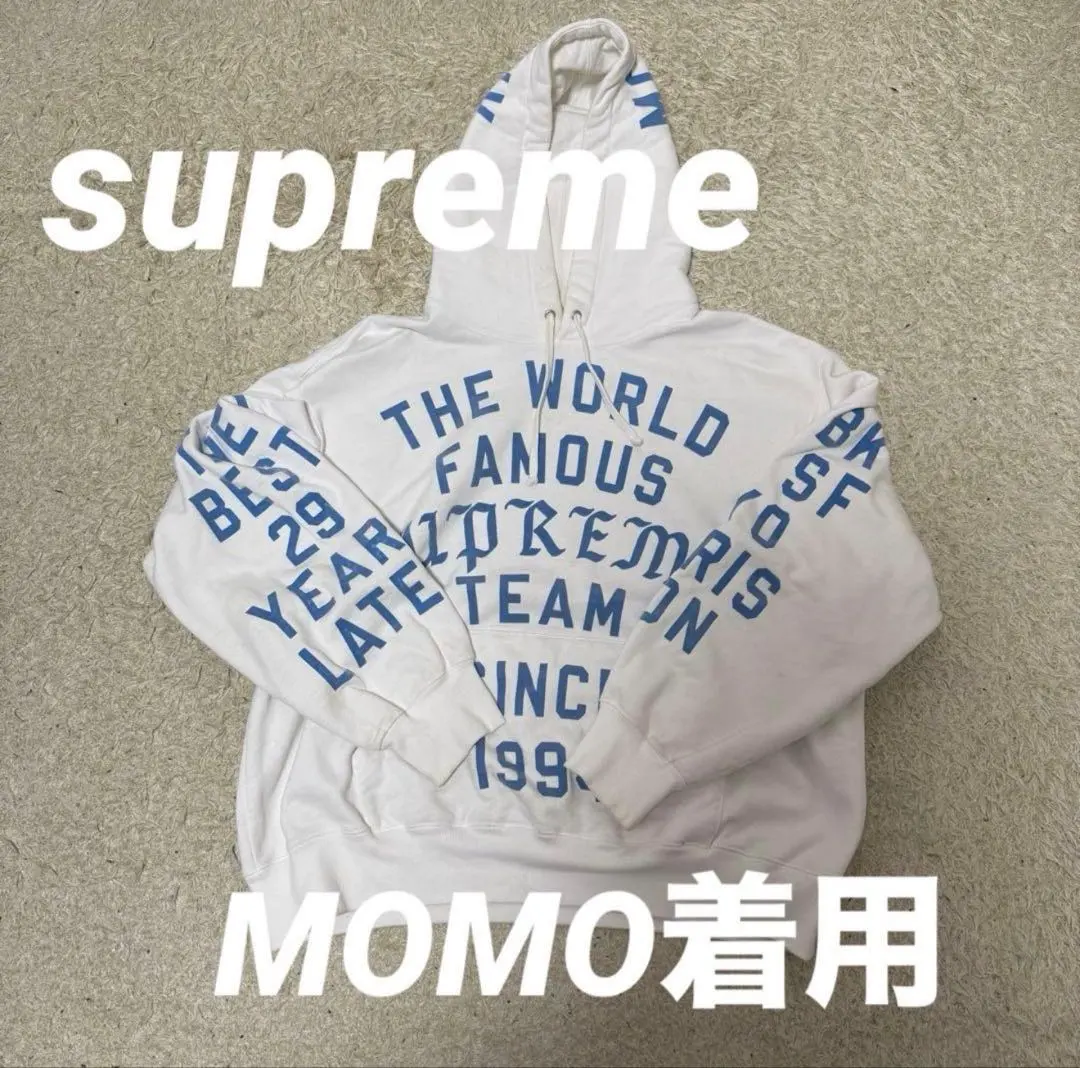 2026年最新】supreme team flocked hooded sweatshirtの人気アイテム