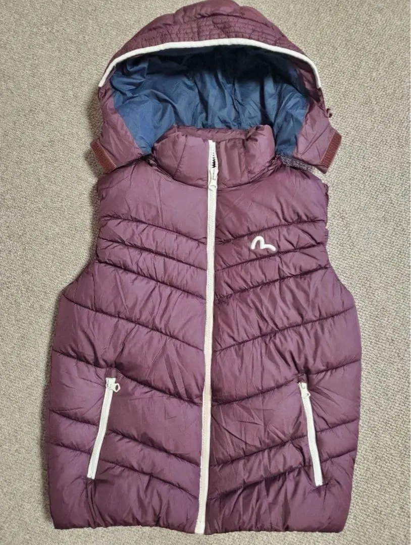 2026年最新】evisu ダウンベストの人気アイテム - メルカリ