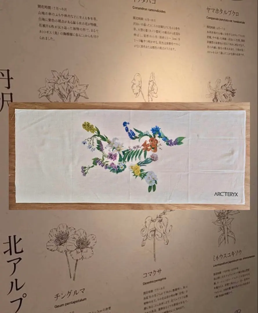 2026年最新】ARC'TERYX タオル・バス用品の人気アイテム - メルカリ