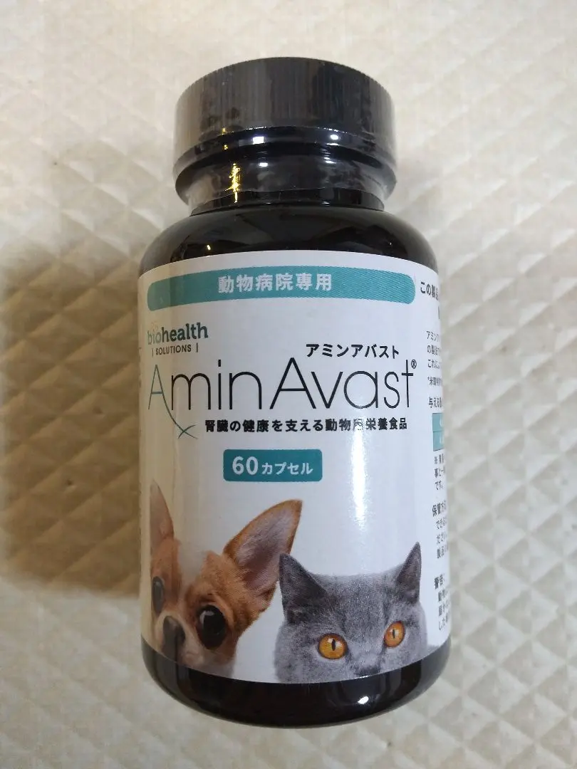 2026年最新】アミンアバスト 猫の人気アイテム - メルカリ