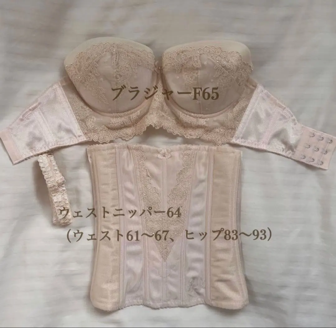 2026年最新】フォーシスアンドカンパニー インナー c65の人気アイテム