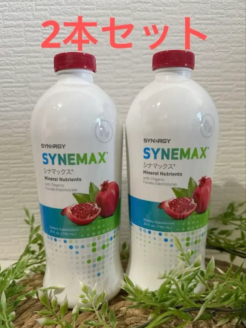 2026年最新】シナマックス シナジーの人気アイテム - メルカリ