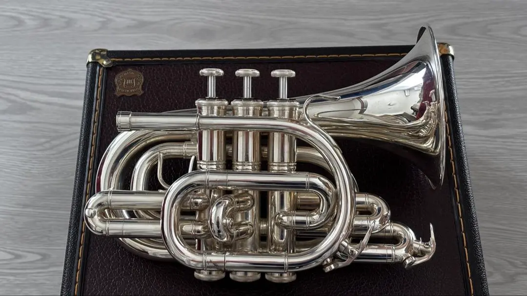 2026年最新】マルカート トランペットの人気アイテム - メルカリ