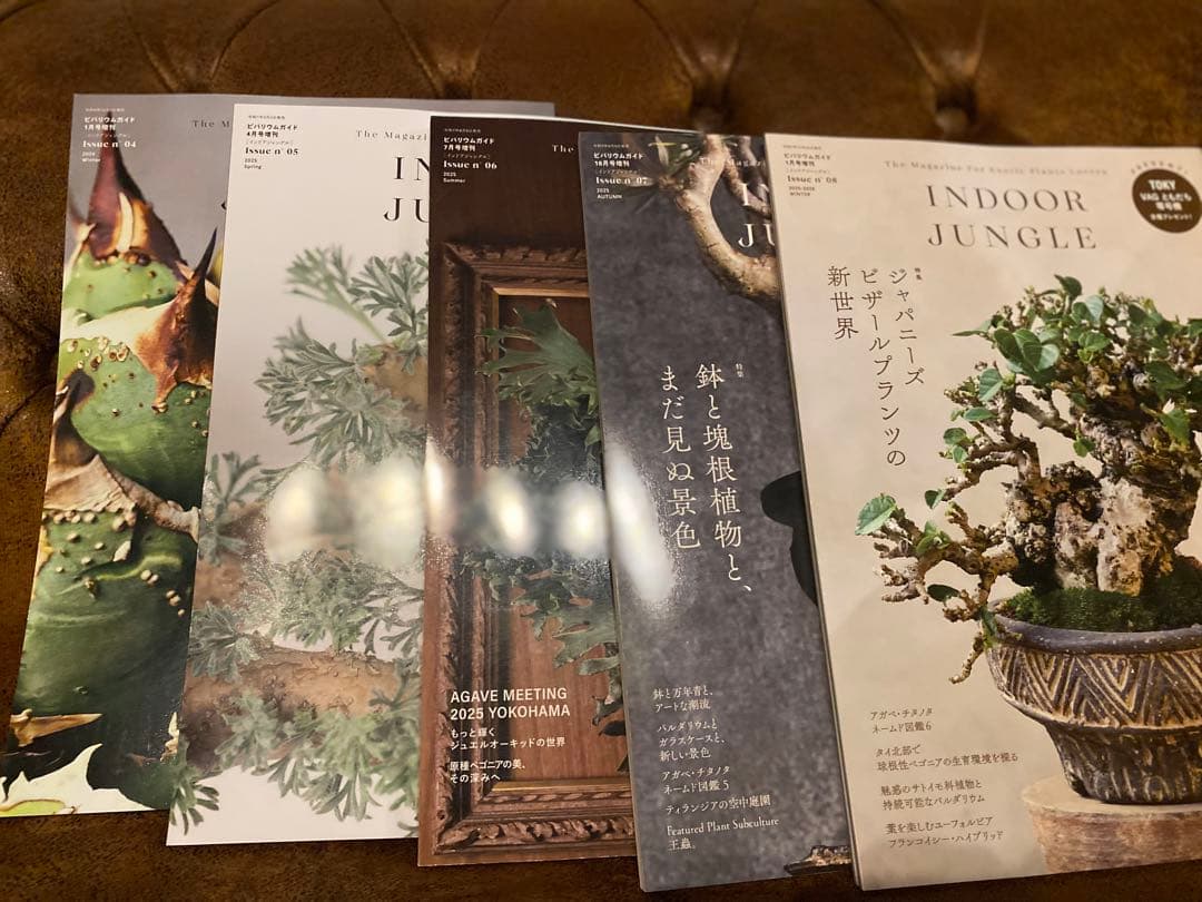 INDOOR JUNGLE 5冊セット ビバリウムガイド増刊 2025年7月号 - 紀伊國屋書店ウェブストア