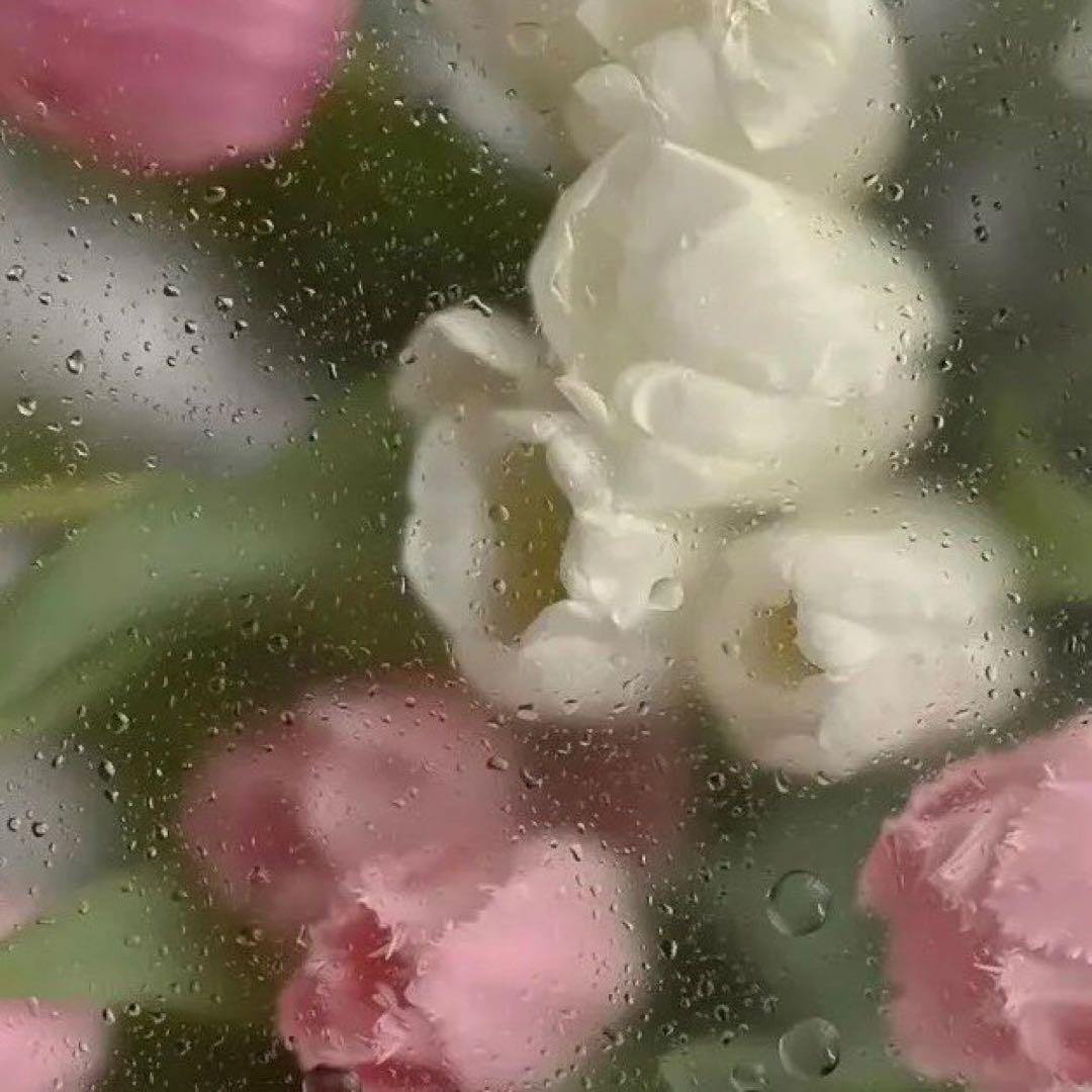 mimimiプロフご覧ください。 予約販売｜8月頃 お届け予定】PINYUN DESIGNS MIMIA(ミミア) 第四弾「夢