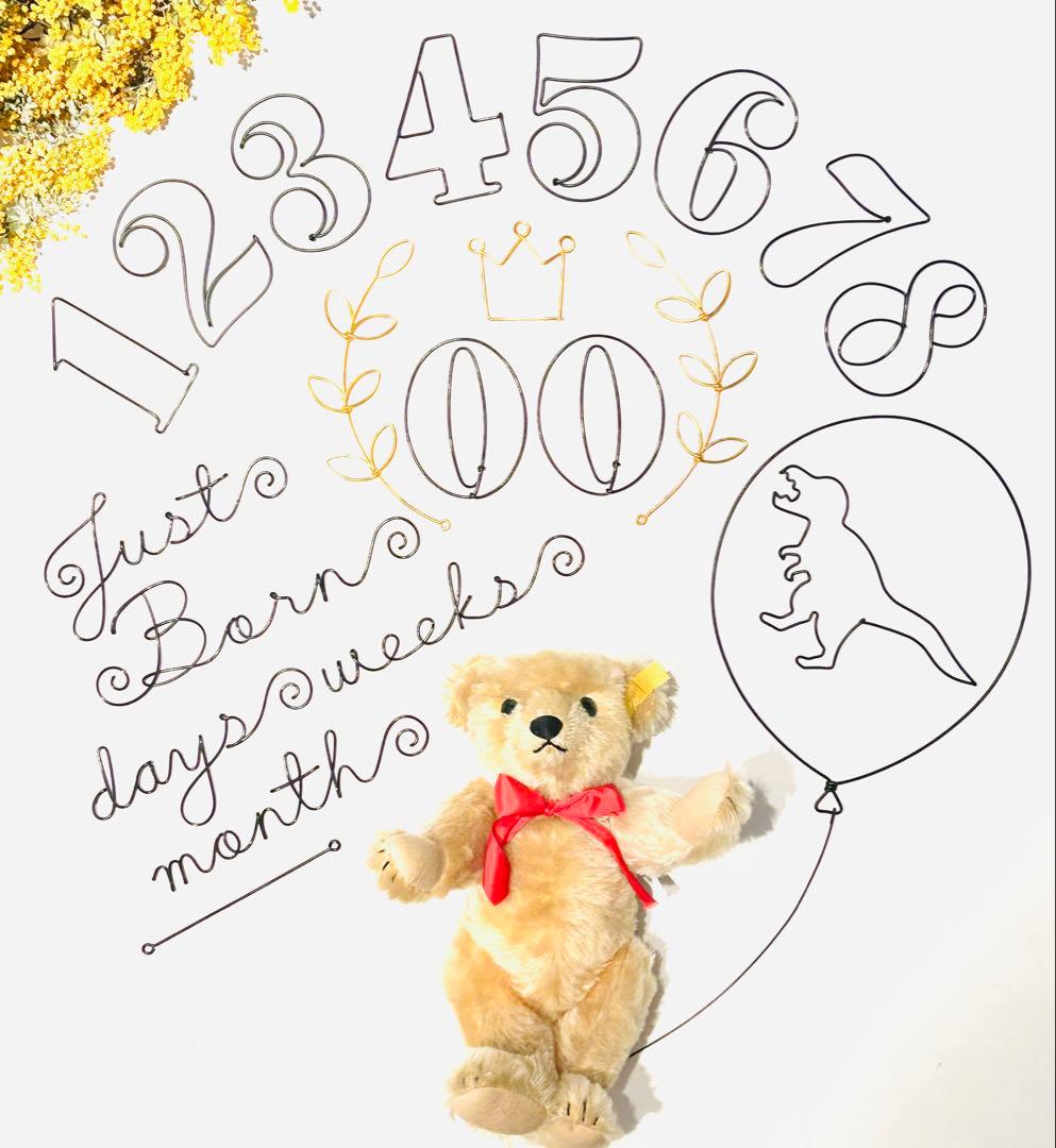 m.m　ワイヤーアート　JUST BORN days weeks 恐竜 恐竜セット ワイヤークラフト 誕生日飾り付け モチーフセット シンプル