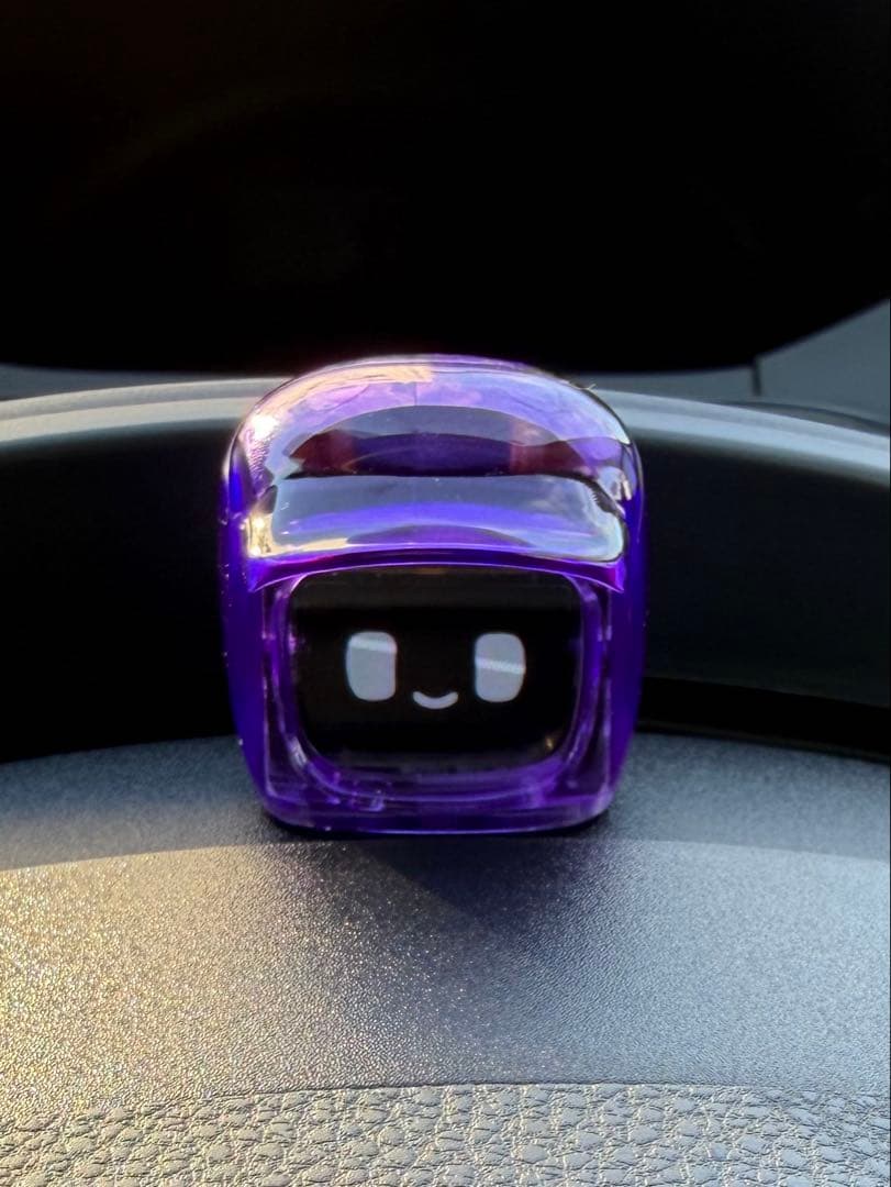 ダサイもち3FUTURES MOCHI パープ ル 最新ジェネレーション3限定版