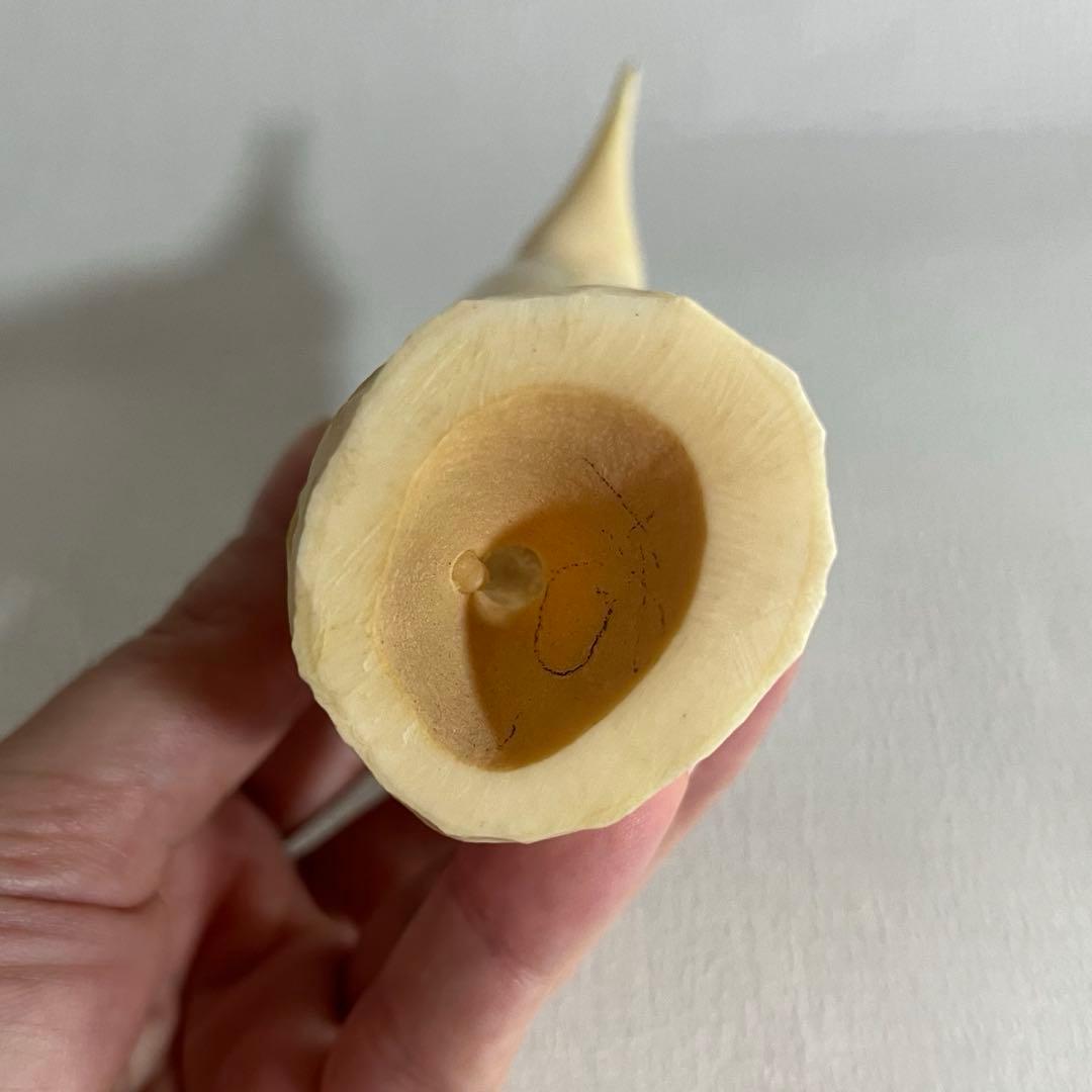 wswgr様専用 歯 ペンギン 置物 マッコウクジラ 蔵出し 割引