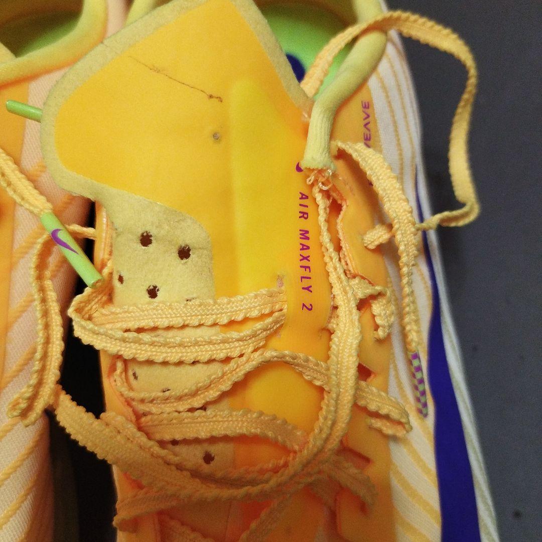 専用中 Nike zoom maxfly 2 28.5cm