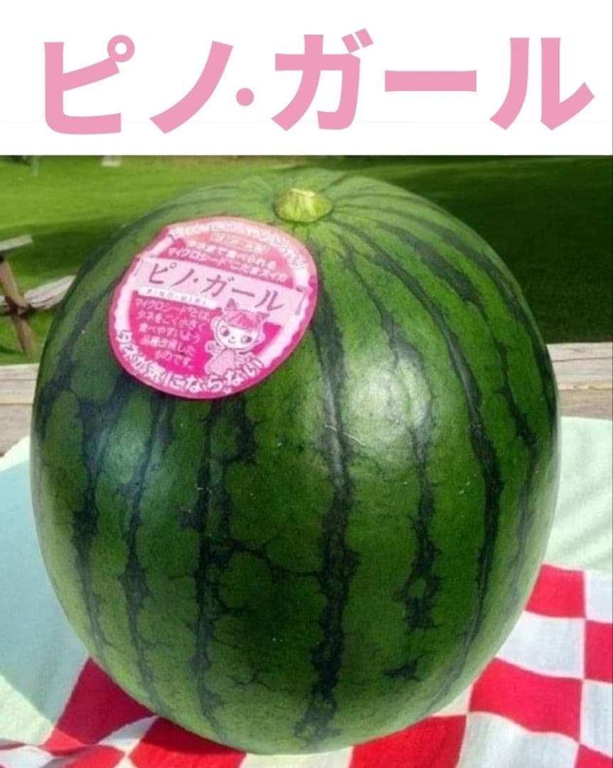 さくらさき様 リクエスト 2点 まとめ商品 - メルカリ