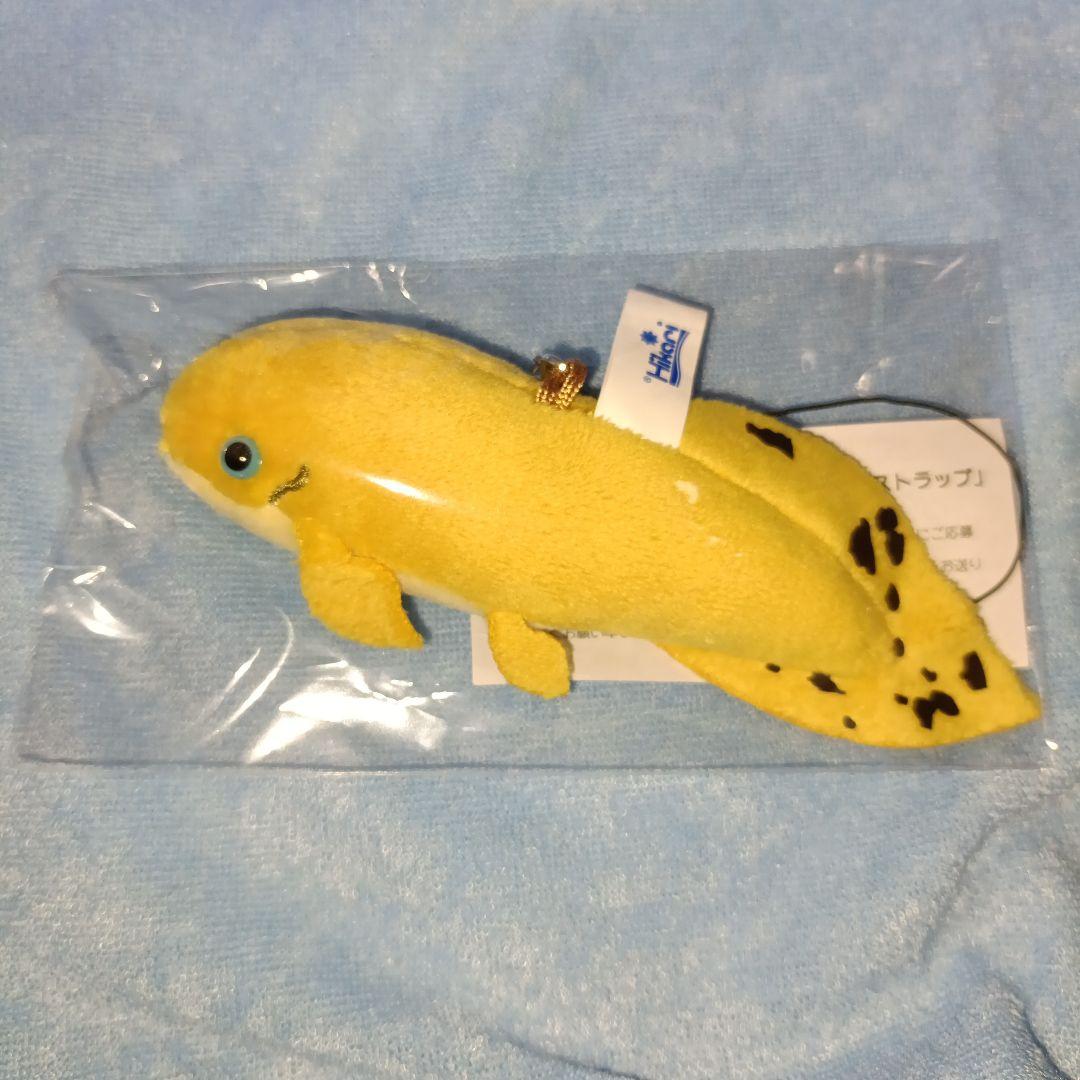 ✨当選✨ キョーリン ネオケラトドゥス ミニストラップ Hikari