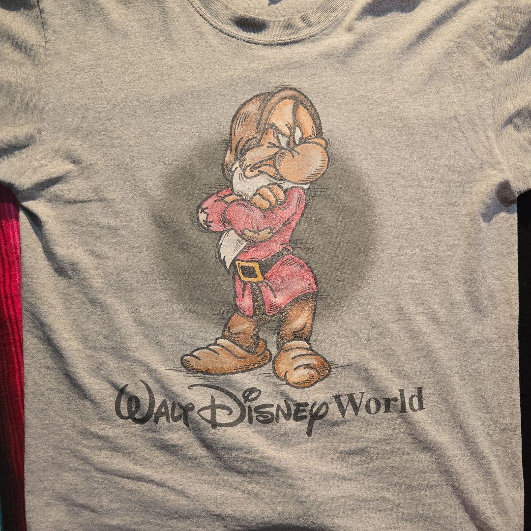 90s US ディズニー Tシャツ白雪姫 小人 グランピー - メルカリ