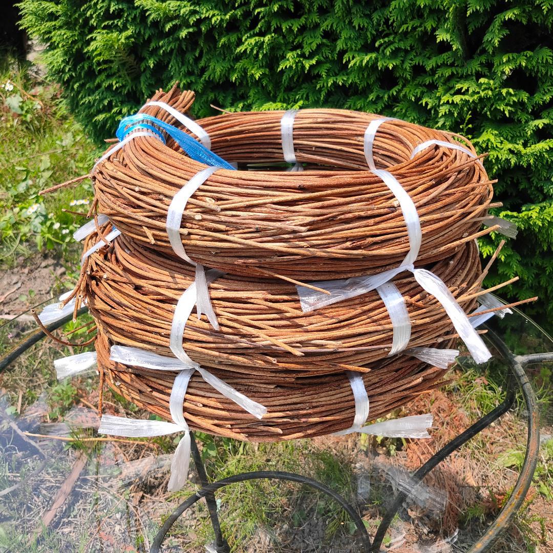 (委託品)青森県岩木山採取　あけび蔓　150cm～　3.2kg