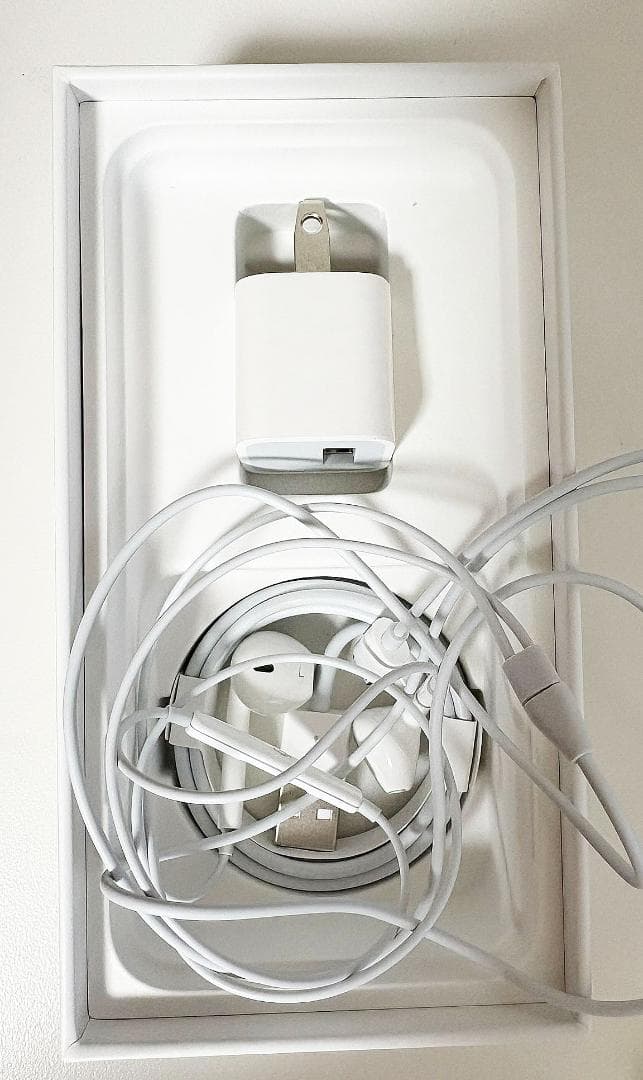 難あり中古品】iPhoneSE2 本体 充電器・イヤフォン付き SIMフリー