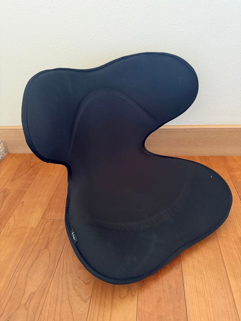 ぱ*ん様 MTG　スタイルスマート　Style smart　ブラック姿勢矯正 Style（スタイル） 爆買 姿勢ケアシート スマート MTG Style Smart