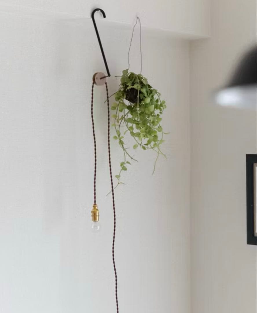 【新品未使用】eNproduct ハンガーライト hanger light eNproduct / ハンガーライト / hanger light - 北欧、暮らしの道具店