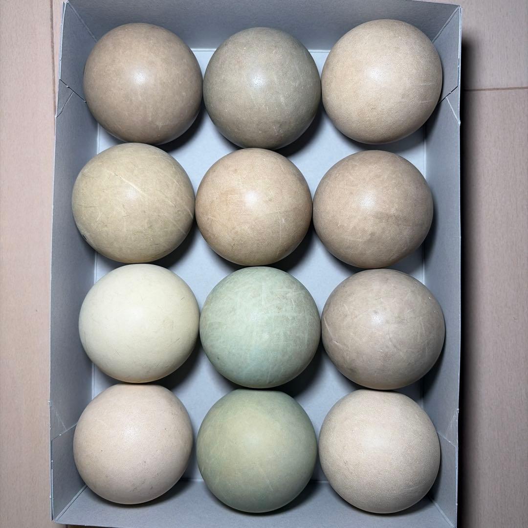 早い者勝ち】ソフトテニス ボール 12球 中古 - メルカリ