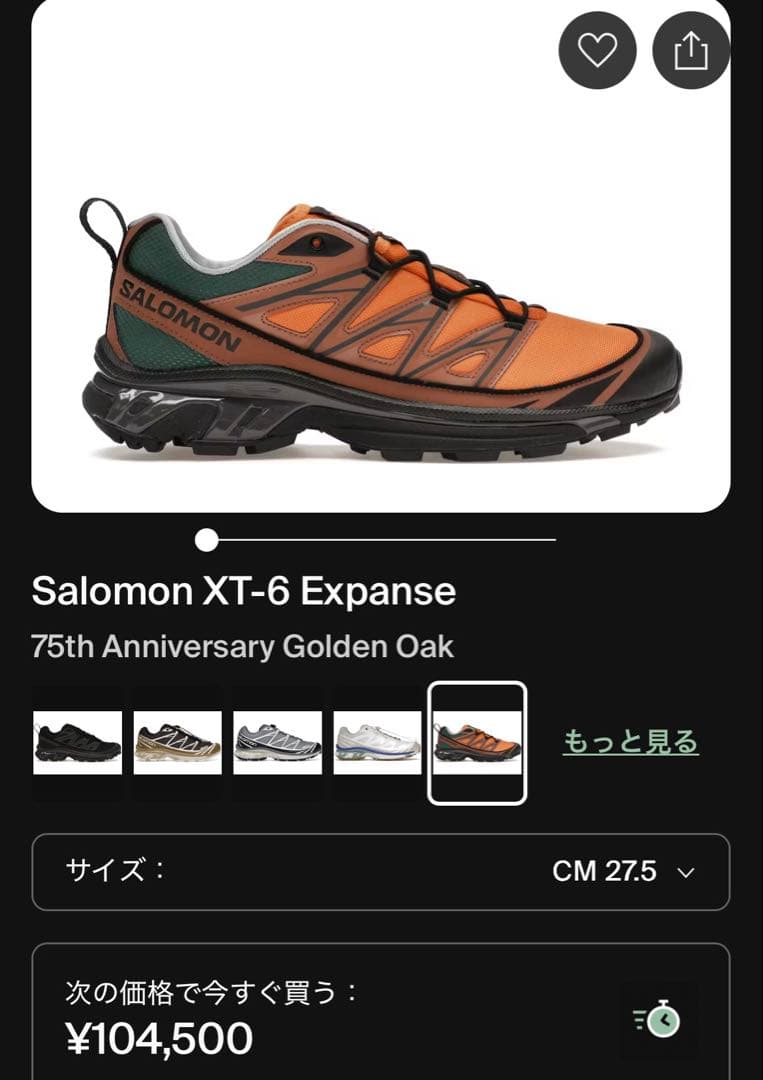 靴 Salomon XT-6 EXPANSE 75TH 27.5cm