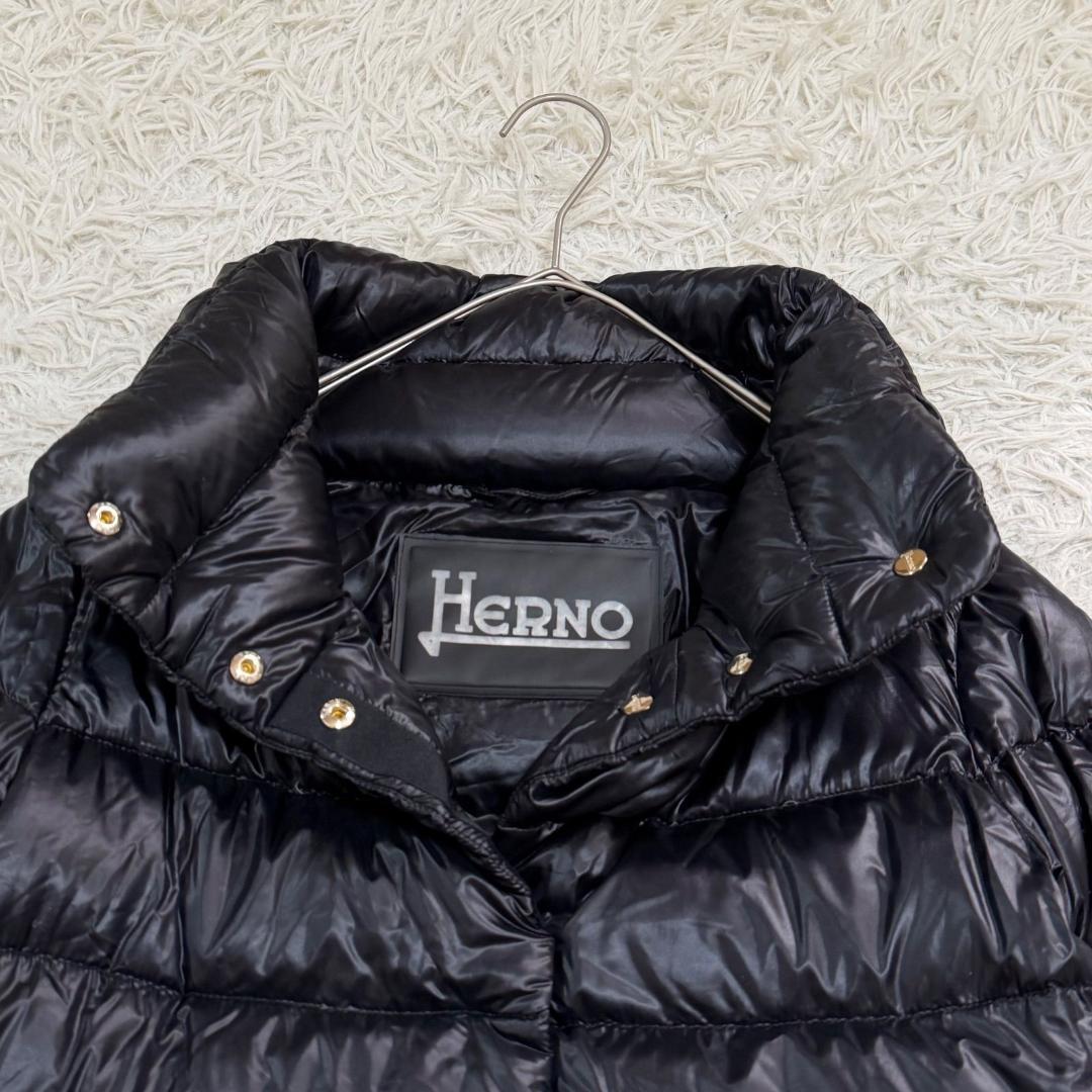 17530✨ヘルノ モノグラム ウルトラライトダウンジャケット 38