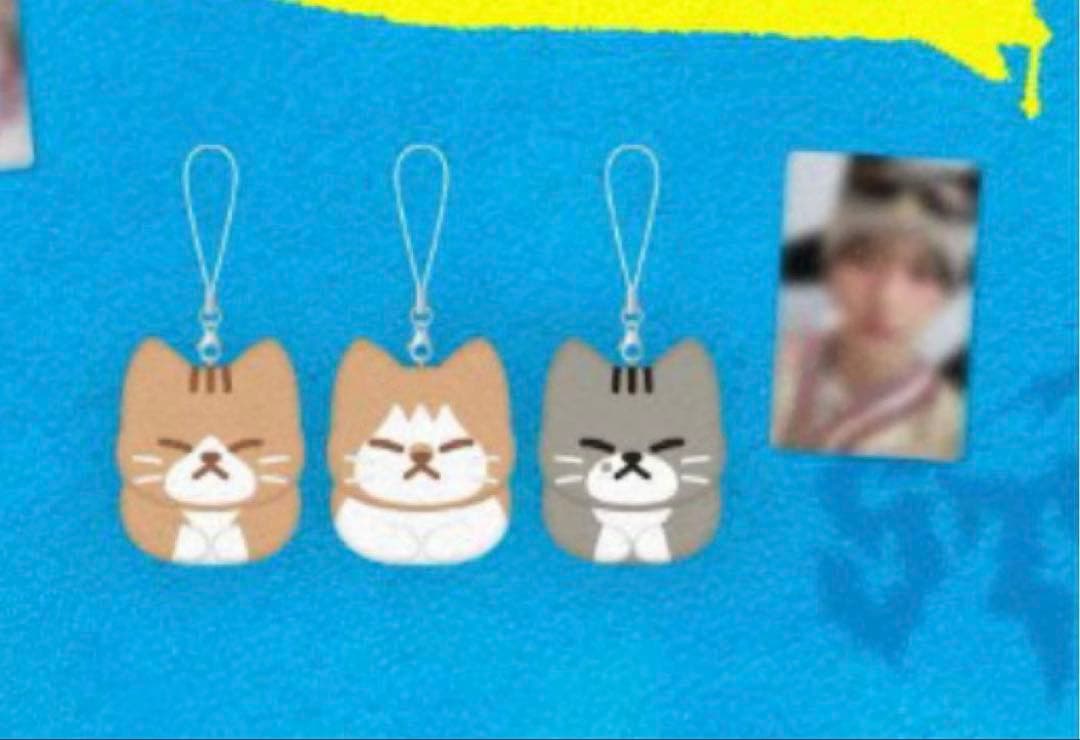 Stray kids リノ スンドゥンドリ 未開封 メンプロ