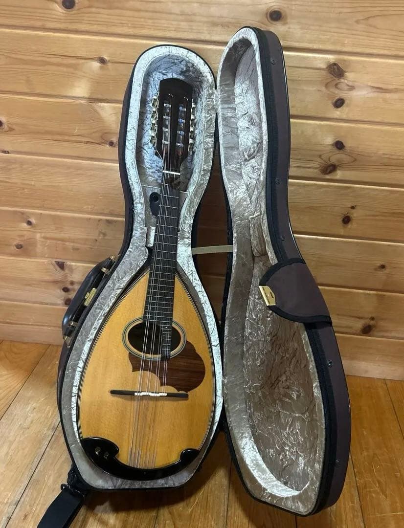 【美品】SUZUKI マンドリン　M-30 ハードケース　スズキ 美品】SUZUKI M-30 マンドリン スズキ ハードケース付き ⑨ - メルカリ
