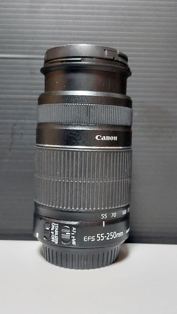 レンズ(ズーム) Canon EF-S 55-250mm F4-5.6 IS II EF-S55-250mm F4-5.6 IS II - キヤノンカメラミュージアム